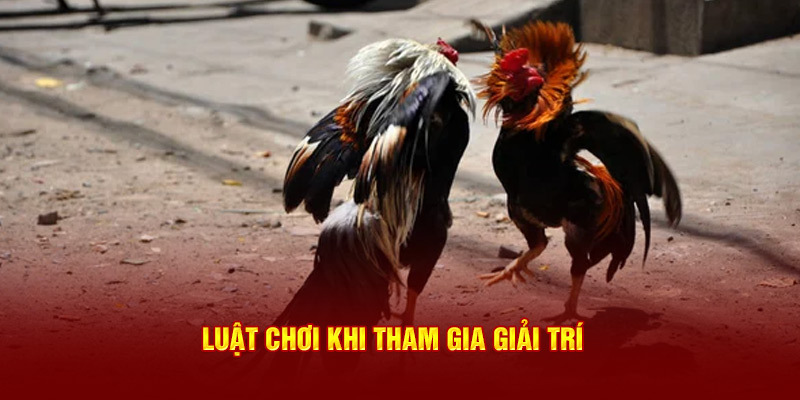 Trực tiếp đá gà online - Trải Nghiệm Hấp Dẫn Và Cơ Hội Kiếm Tiền Đỉnh Nhất Tại Nhà Cái Jun88